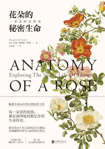 朵花的奥秘：植物世界的语言