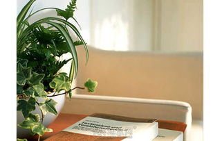 植物与人类：千年的生存智慧