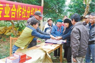 合作社可以加工饲料吗？家庭农场能搞秸秆项目吗？政策支持吗？