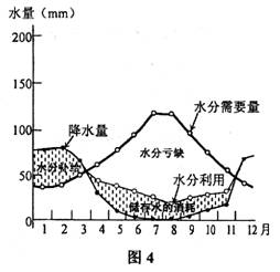 韧锦种植心得篇中，如何根据土壤和气候条件选择合适的韧锦品种