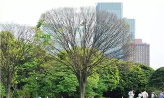 城市里的河岸与生态景观