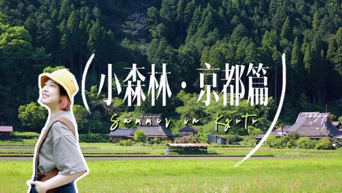 小心陷阱：别被这些骗了