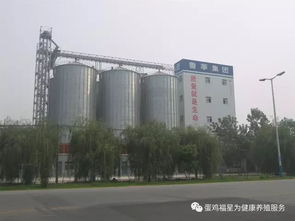 鲁莘饲料有限公司最近饲料价格行情如何？有没有具体品种的价格查询？