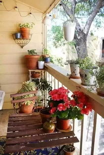 阳台花园：打造自家绿色小天地