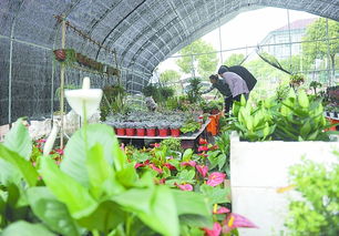 比如 这些地形条件要注意哦