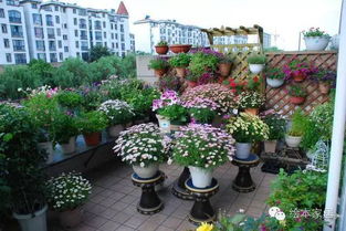 播种获取， 周期较长