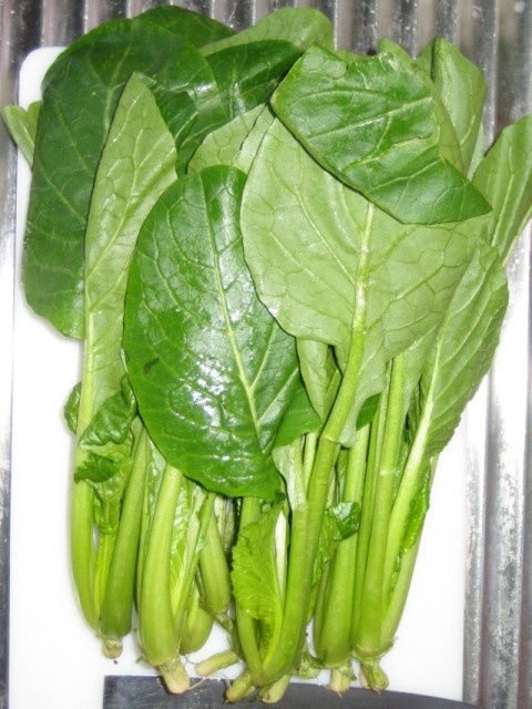 芸薹蔬菜大杂烩，你认识几种？