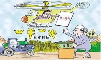 申报材料示例