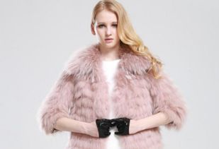 铁皮草一：不死草——卷柏