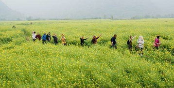 农村环境与农民生活：除草剂的争议