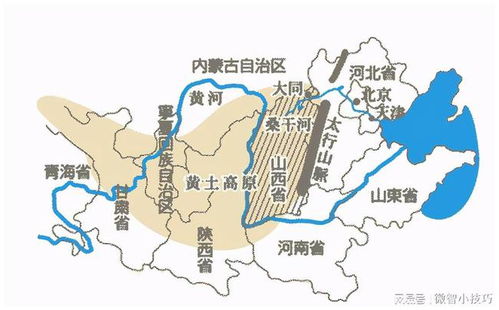 黄土高原种橡树，成本高不高？实测省50%成本方案可行吗？