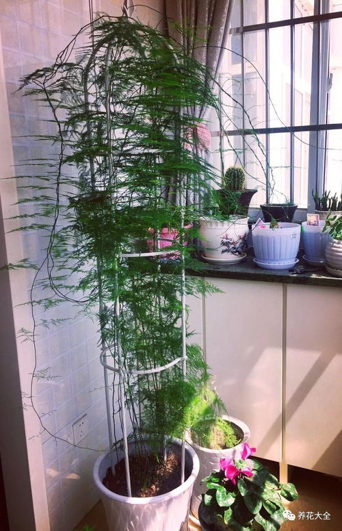 东北水池烂根大揭秘