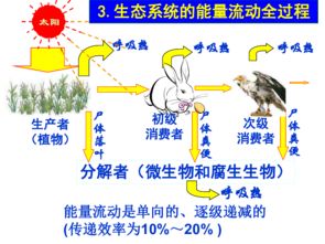 2. 农药在环境中的归趋