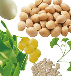 清洗种子：像洗宝宝的脸一样认真