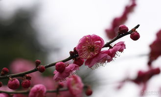 为什么这么贵呢？