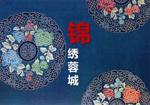 菊花形状太美了！这些花型让人眼前一亮