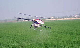 先说说选对时间，这hen重要