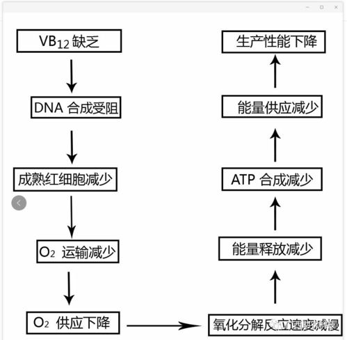 养殖场免疫现象解析：十种免疫机制剖析