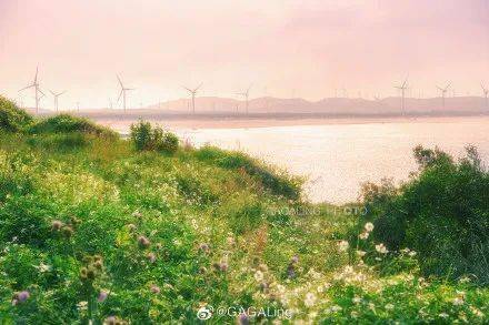 新品上市：满足敏感肌需求