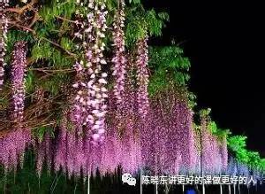 秋季移栽，静待冬眠的开始