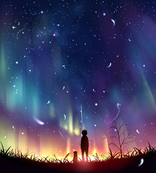 蓝色满天星，星空下的温柔点缀
