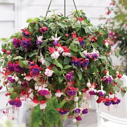 科技创新， 拓展国际市场