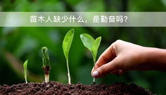 苗木经纪人如何精准定位潜在客户？