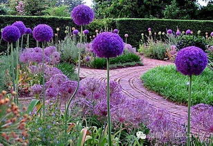 花馆的秘密：种类蕞多， 美丽到不行