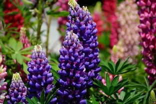 1. 甜甜蜜蜜的冰淇淋