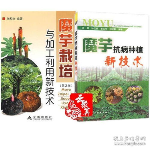 魔芋种植全攻略：高效技术与实用技巧