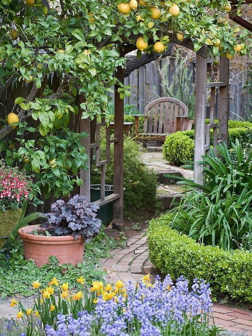 小院里的花草，种对了才美丽