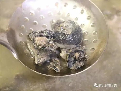 大环内脂原粉：增强动物免疫力