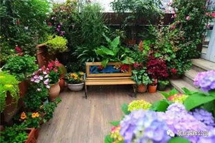 种夏花就像经营摇滚音乐会