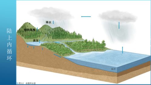 高效节水农业：创新游泳池水循环过滤技术在农田灌溉中的应用