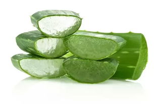 美容护肤， 延缓衰老