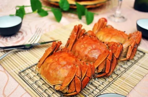 螃蟹可以长期食用鸡饲料吗？这对它们的健康和养殖效果有影响吗？