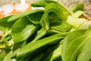 只Neng硬着头皮上了