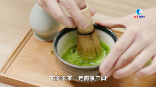 揭秘尤溪板面茶油的大规模种植秘诀：联系方式大公开！