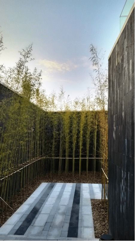 2. 植物层次的丰富变化