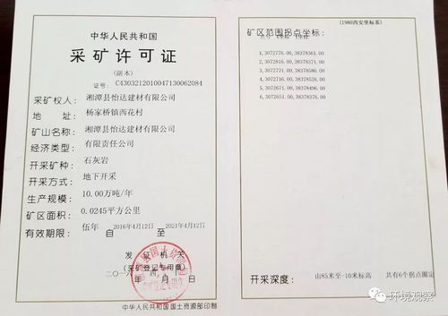 6. 市场调查报告