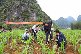 基地技术普及， 种植户收益翻倍