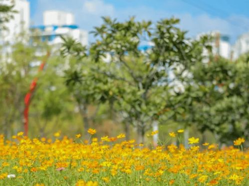 黑科技催芽：让种子飞快发芽