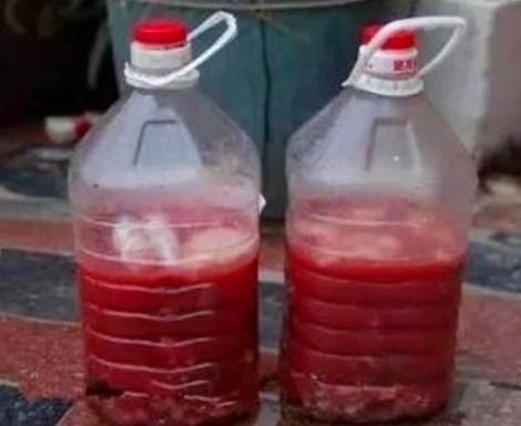 浇花也Neng用大蒜水？