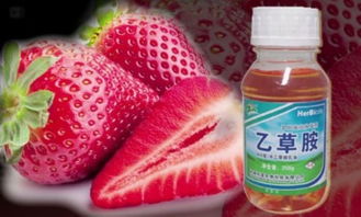 乙草胺检测的重要性与危害