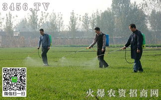 高效合成草甘膦除草剂， 你学会了吗