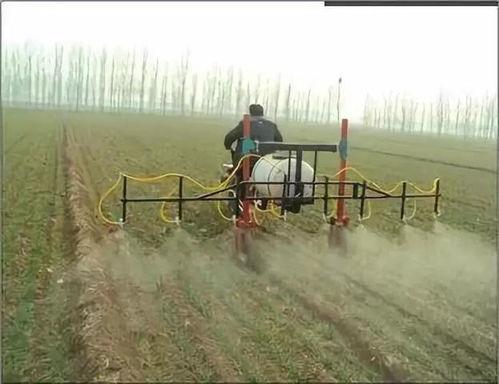 正确使用是关键