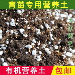 园艺土自制？只需泥炭、腐叶土、珍珠岩