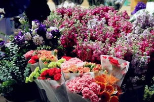 市场竞争，激烈又充满活力