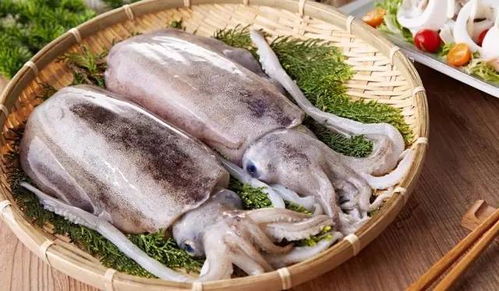 海鲜市场大乌贼价格为何相差3倍？老渔民教你如何省40%？