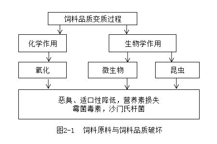 饲料中脂肪含量对动物产品品质有何具体影响？
